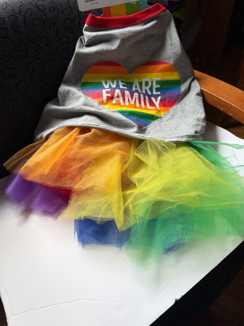 Rainbow 'We Are Family' Tutu Dress